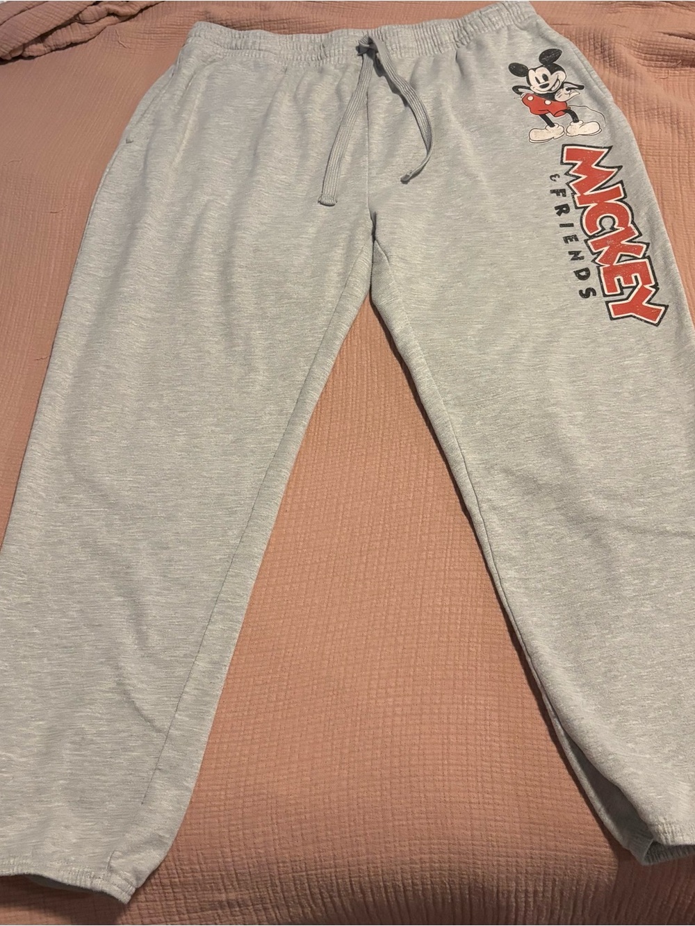 Disney Gray Sweatpants with Mickey & Friends Graphic